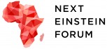 Next Einstein Forum (NEF)