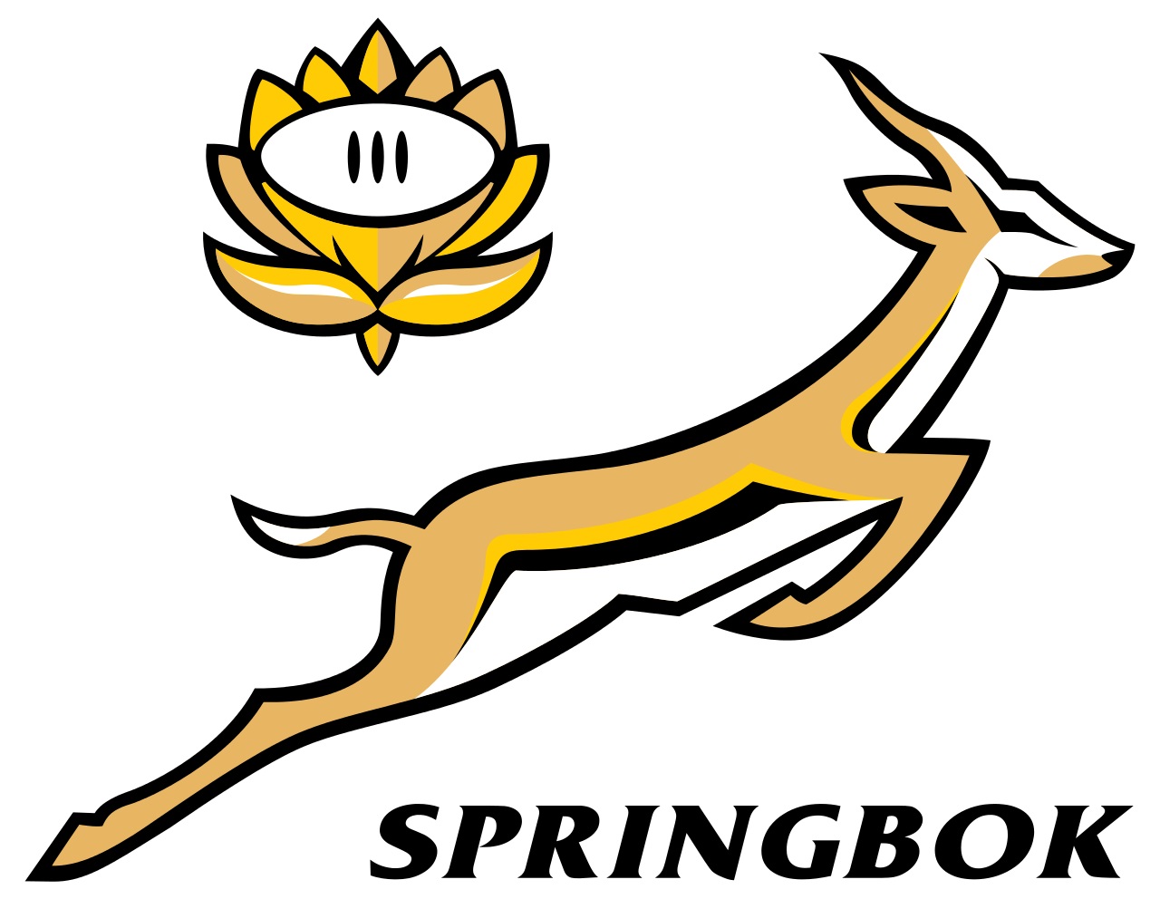 South African Rugby Union