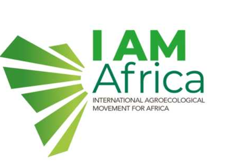 IAM Africa