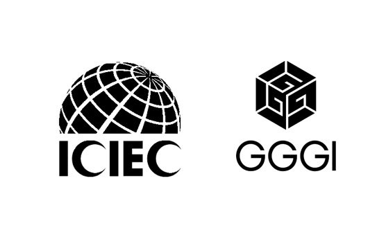 Islamic Corporation for the Insurance of Investment and Export Credit (ICIEC)
