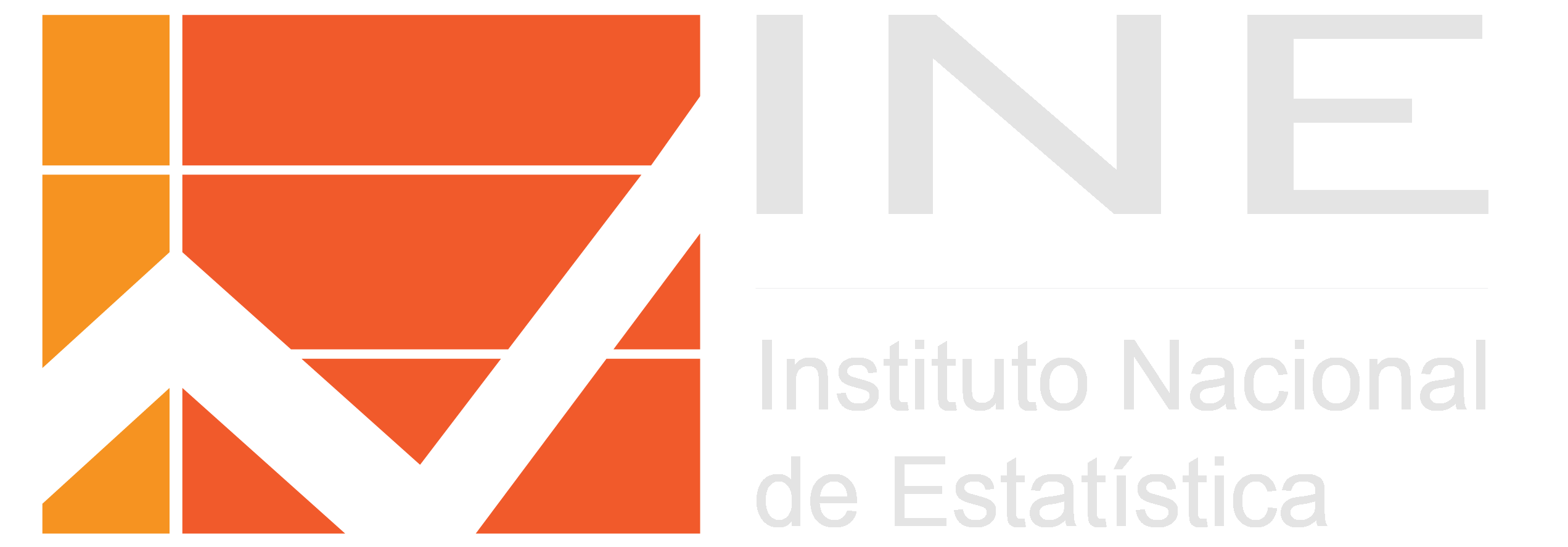 Instituto Nacional de Estatística (INE)