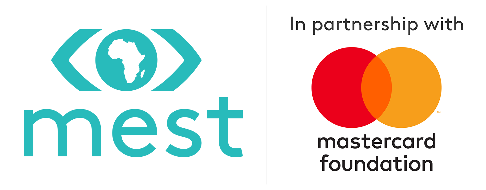 The Meltwater Entrepreneurial School of Technology (MEST Africa)