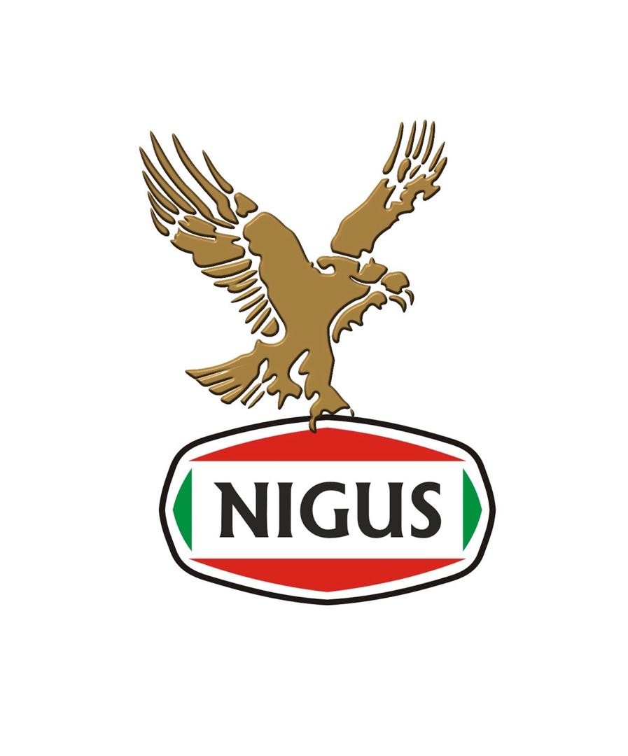 Nigus and Elmirate announce $200m initiative to support Africa’s security sector
