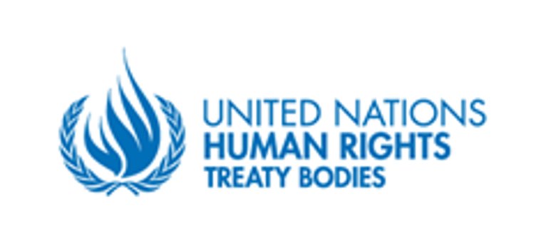 United Nations Human Rights Treaty Bodies