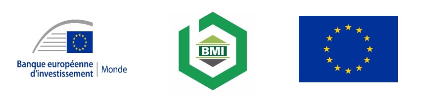 European Investment Bank (EIB)