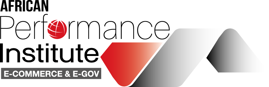 African Performance Institute