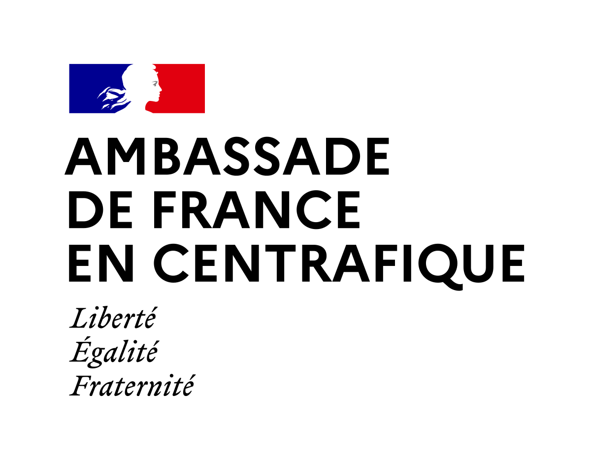 La France en République centrafricaine