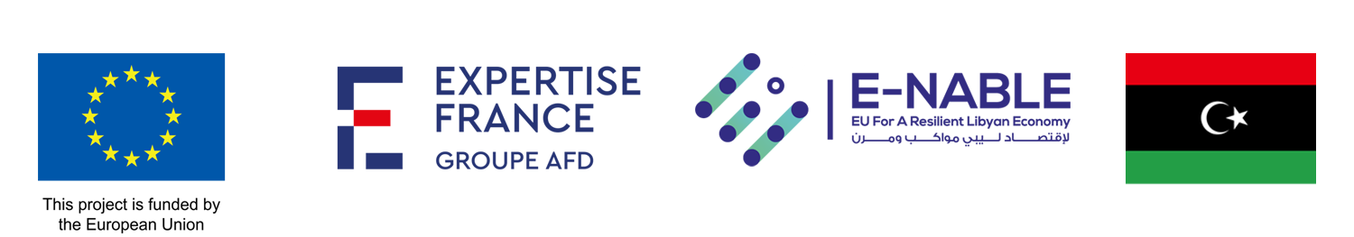 European Union (EU) Launches Invest4Libya to Strengthen Public Finance and Drive Digital and Green Investment in Libya