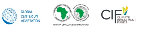 African Development Bank Group (AfDB)