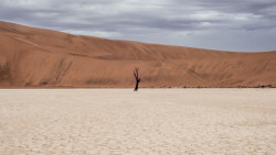 namibia-sahara-desert-1140x640.jpg