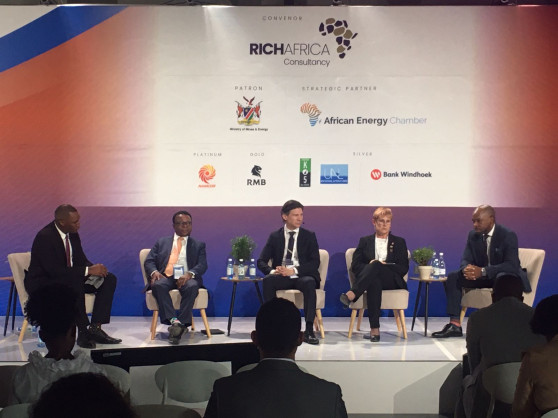 <div>Financing Namibia’s Energy & Power Projects at Namibia International Energy Conference (NIEC) 2023</div>