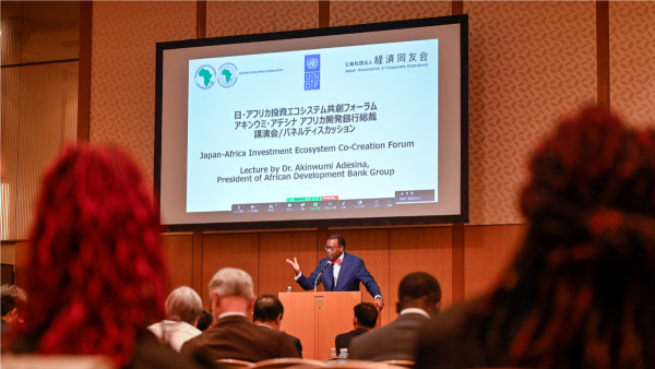 Investing in Africa is profitable, African Development Bank President tells Japanese investors