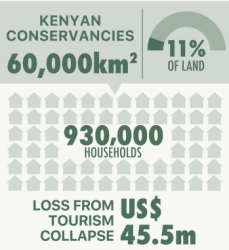 Kenya Namibia Case Study - Infographic 1.png