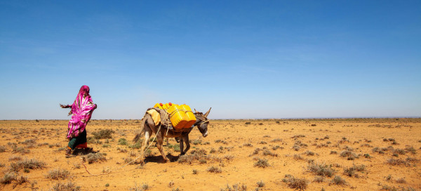 Coronavirus - Somalia: Frontline resilience in Somalia