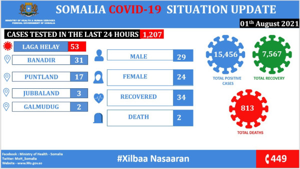 Coronavirus - Somalia: COVID-19 Situation Update (01 August 2021)