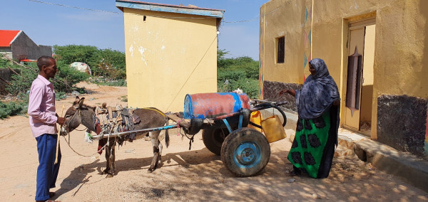 Bank-funded water and sanitation project improving livelihood in Somaliland