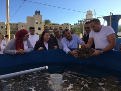 USAID Deputy Mission Director Rebecca Latorraca visits a giant clam farm in Marsa Alam with renowned