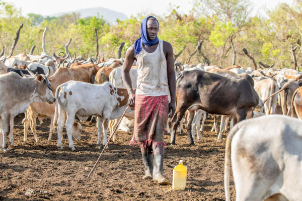 Facing the impacts of climate change, agropastoralists in Africa are taking responsibility for their own development – United Nations Development Programme (UNDP) report