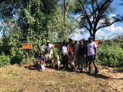 Kalahari Honey Bee Farm, Botswana.JPG