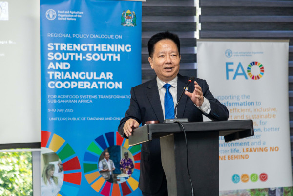 Food and Agriculture Organization of the United Nations (FAO): Regional Office for Africa