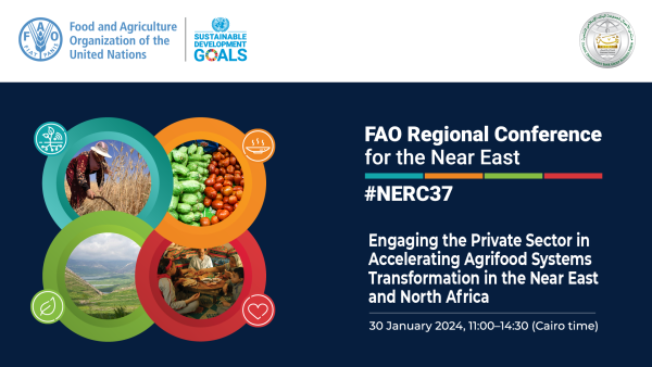 Food and Agriculture Organization (FAO) and key private sector players outline roadmap to accelerate agrifood system transformation in Near East and North Africa (NENA) region