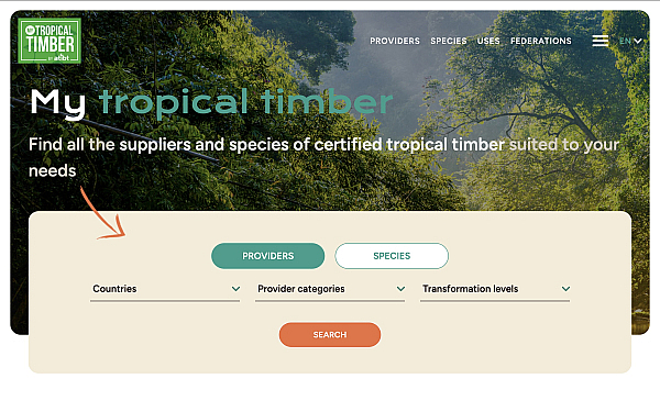Association Technique Internationale des Bois Tropicaux (ATIBT)