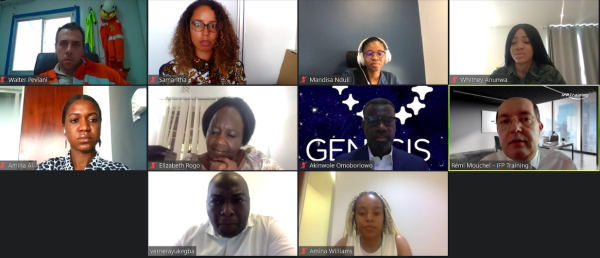 African Energy Chamber’s Energy Transition Committee Advocates for a Unique Energy Mix for African Countries