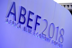ABEF2018 (1).JPG