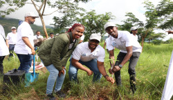 Image 3_1920x1113.jpeg