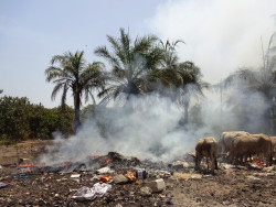 Photo by WasteAid of dumpsite on fire in Gambia.JPG