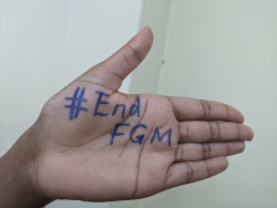 Gamcotrap image 2.jpg