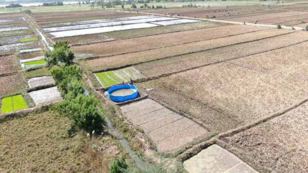 T?KA Supports Fish Farming in Niger