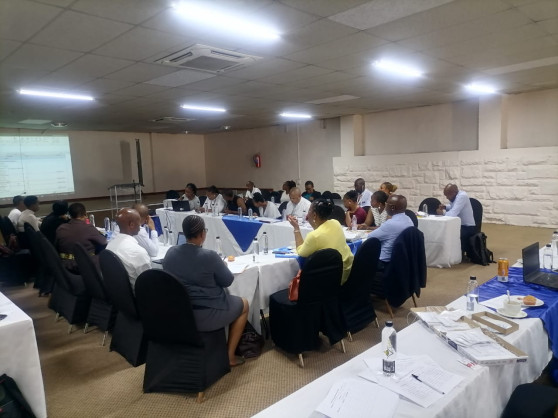 Lesotho: Housing Urges for Stakeholder Collaboration