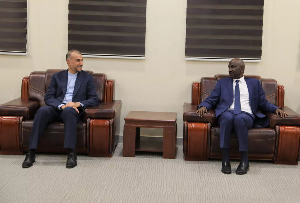 Foreign Minister reviews promoting bilateral relations with Mauritania