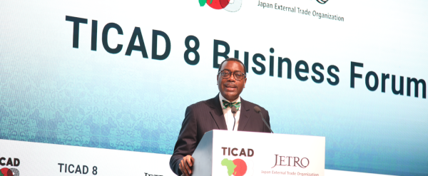 Africa’s renewable energy resources offer huge investment opportunities for Japanese business – Dr Akinwumi Adesina