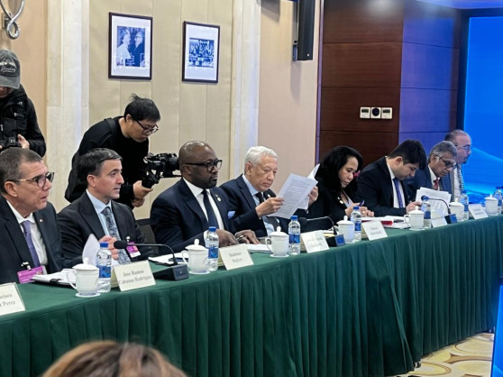 African Energy Chamber