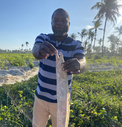 African Development Bank Group (AfDB)