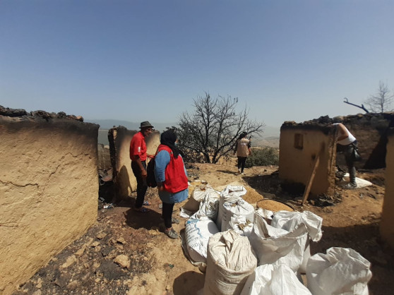 International Federation of Red Cross and Red Crescent Societies (IFRC)