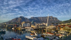 AAIS2017-Cape Town.jpeg