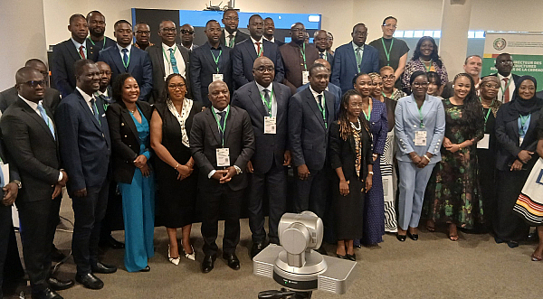 Developing bankable infrastructure in the Economic Community of West African States (ECOWAS) region through Public-Private Partnerships (PPP)