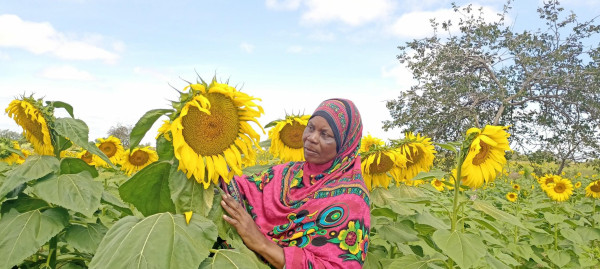 Support to improve climate-smart agricultural practices delivers life-changing benefits for women farmers in Tanzania