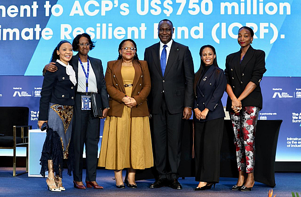 Africa Finance Corporation (AFC)