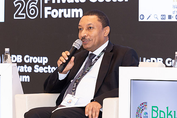 Islamic Corporation for the Insurance of Investment and Export Credit (ICIEC)