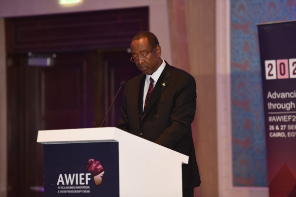 African Women's Innovation and Entrepreneurship Forum (AWIEF)