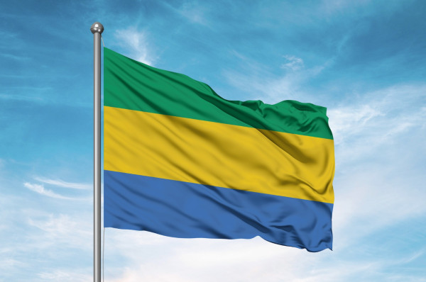<div>African Energy Chamber Urges Gabon to Protect Oil & Gas Assets Amid Political Coup</div>