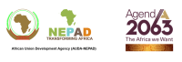 New Partnership for Africa’s Development (NEPAD)
