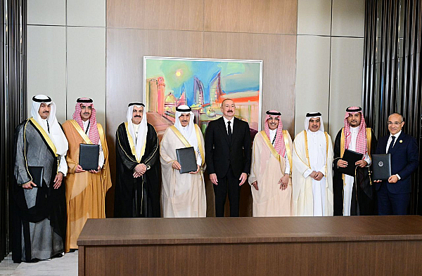 Arab Coordination Group (ACG)
