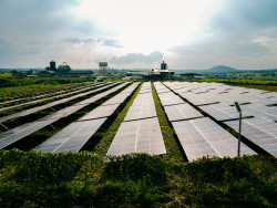 Image 5 Final (1).jpg