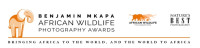 The African Wildlife Foundation (AWF)
