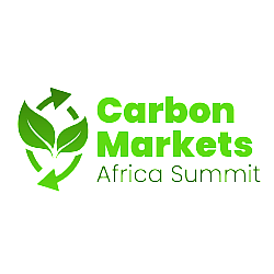 Beyond the carbon credit: Who sets the terms for Africa’s carbon markets?